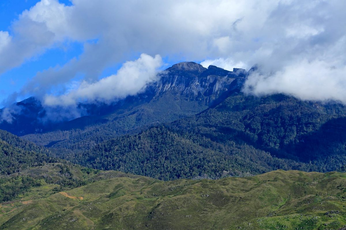 Papua New Guinea map